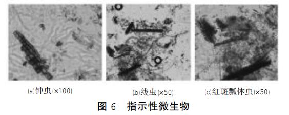 污水處理設備__全康環(huán)保QKEP