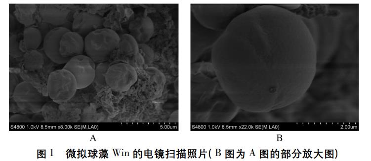 污水處理設(shè)備__全康環(huán)保QKEP