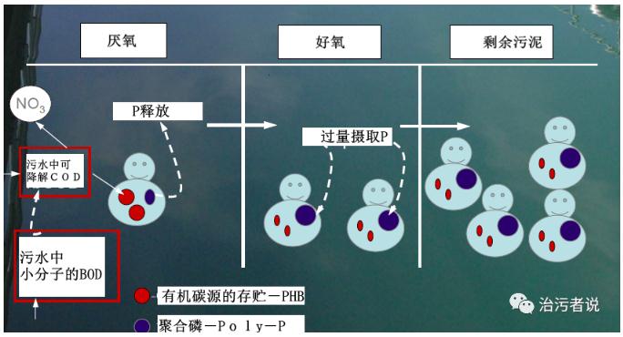 污水處理設備__全康環(huán)保QKEP