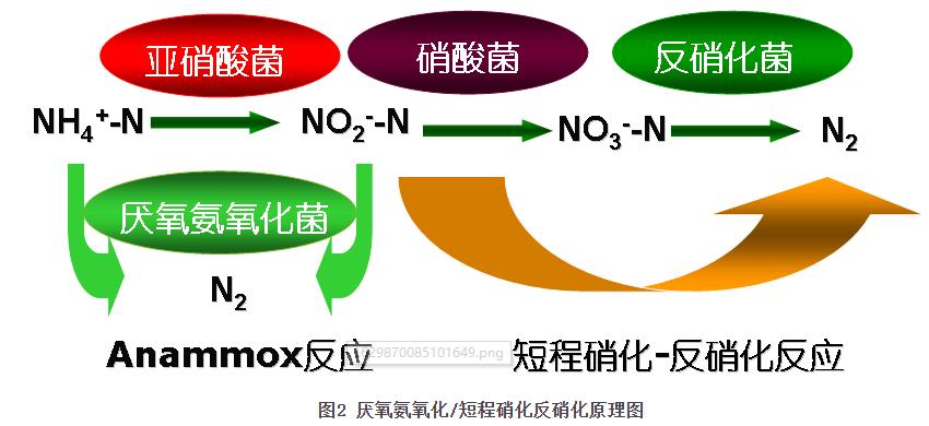 污水處理設備__全康環(huán)保QKEP