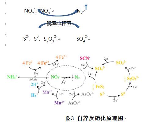 污水處理設備__全康環(huán)保QKEP