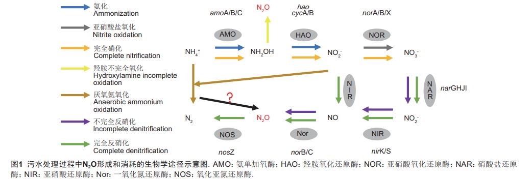 污水處理設備__全康環(huán)保QKEP