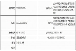 中國(guó)五冶集團(tuán)中標(biāo)宜賓市翠屏區(qū)宋家鎮(zhèn)中部污水處理廠建設(shè)項(xiàng)目與宜賓市翠屏區(qū)李莊污水處理廠二期及管網(wǎng)建設(shè)項(xiàng)目